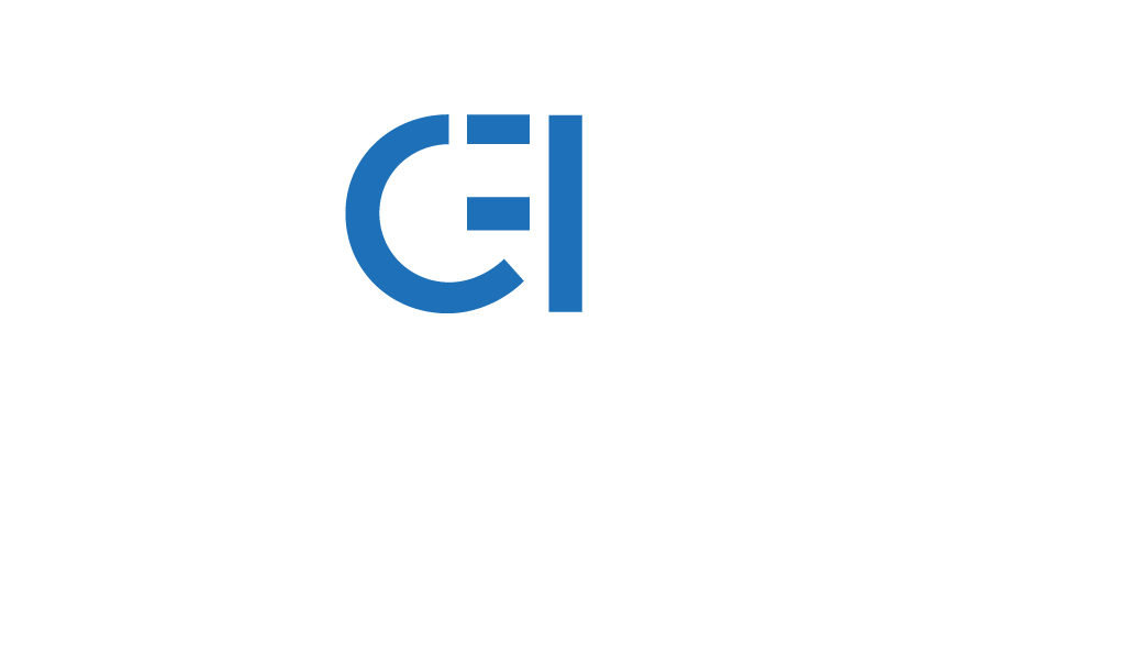 digitalmood-Conenction-Agency-AI-logo-bianco digitalmood-Conenction-Agency-AI-logo-bianco